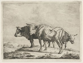 Three oxen, Jacobus Cornelis Gaal, Pieter Gaal, 1854