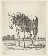 Single white horse, Jacobus Cornelis Gaal, 1860