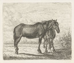 Two horses, Jacobus Cornelis Gaal, Pieter Gaal, 1851