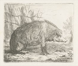 Sitting wild boar, print maker: Jacobus Cornelis Gaal, Pieter Gaal, 1851