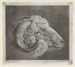 Head of a ram to the eye curved horn, print maker: Jacobus Cornelis Gaal, Pieter Gaal, 1855