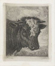 Head of a cow with white kol, Jacobus Cornelis Gaal, 1852