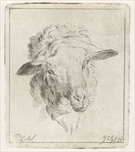 Head of a sheep, Jacobus Cornelis Gaal, 1851