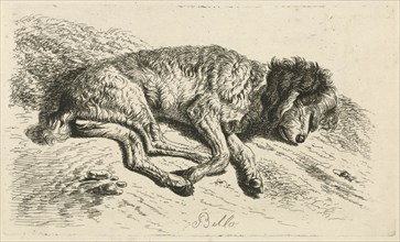 Sleeping dog, Johannes Mock, 1825