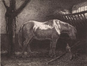 Horse in stable, Jan Vrolijk, 1860 - 1894