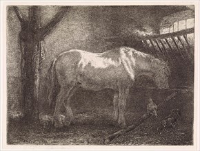 Horse in stable, Jan Vrolijk, 1860 - 1894