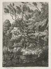 Forest view, Joseph Hartogensis, 1855