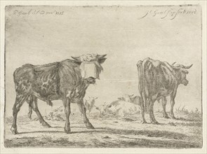 Blindfolded bull to herd cattle, Jacobus Cornelis Gaal, 1852