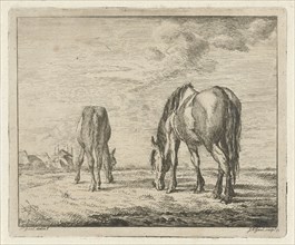 Two grazing horses, Jacobus Cornelis Gaal 1851, print maker: Jacobus Cornelis Gaal, Pieter Gaal,