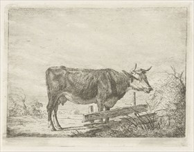 Cow standing by a fence, Jacobus Cornelis Gaal, Pieter Gaal, 1850