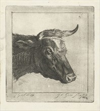 Head of a cow with rope to the horns, Jacobus Cornelis Gaal, 1854