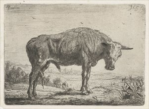 Standing bull, Jacobus Cornelis Gaal, 1851