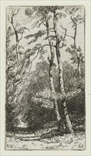 Landscape with birch, print maker: Jan Willem van Borselen