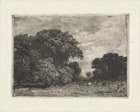 Landscape with three trees and grazing cows, Julius Jacobus van de Sande Bakhuyzen, 1845 - 1925
