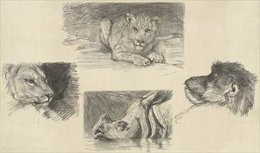 Reclining lion, monkey face, rhino, lion, print maker: August Allebé, Dating 1848 - 1927
