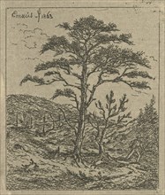 Landscape with hunter, print maker: Gerardus Emaus de Micault, 1863