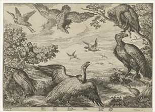 Various birds and a monkey, Jan Griffier (I), Edward Cooper, 1655 - 1718