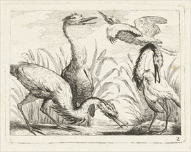 Herons at a puddle, Peter Casteels (III), c. 1700 - before 1749