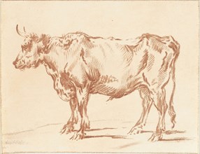Standing ox, Jurriaan Cootwijck, Paulus Potter, 1724 - 1798