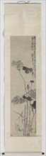 Painting, chinese painting, China, Huang Shen, 1764