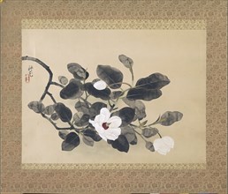 Scroll Painting with magnolia, Yamamura KÃ´ka, 1933