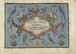 Title print for, Avium vivae Icones..., Adriaen Collaert, 1570 - 1616