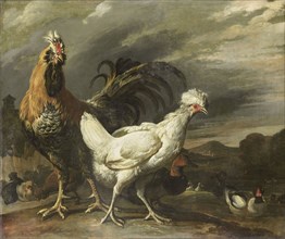 Cock, a Hen and other Poultry, Pieter Jansz. van Ruyven, 1670 - 1690