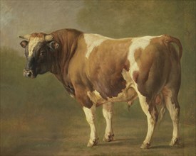 Study of a Bull, Jacques Raymond Brascassat, 1830 - 1867