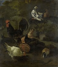 A Cock, Hens, Doves, and a Marmot, Jacomo Victors, 1674