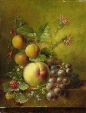 Stilleven met vruchten, Willem Hekking (I), 1830 - 1862