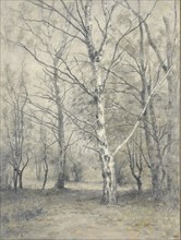 Forest of birch trees, Alphonse Stengelin, 1875 - 1910