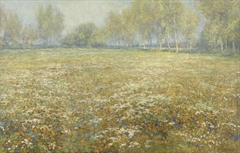 Meadow in Bloom, Egbert Rubertus Derk Schaap, 1912