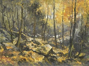 Felsenmeer, Egbert Rubertus Derk Schaap, 1912