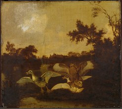 A Buzzard Attacks two Ducks, Dirck Wijntrack, c. 1635 - c. 1678