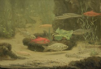 Gold and silver fish in an aquarium, Gerrit Willem Dijsselhof, 1890 - 1922