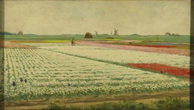 Tulip Fields, Gerrit Willem Dijsselhof, 1890 - 1922