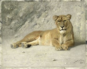 Resting lioness, Jan van Essen, 1885