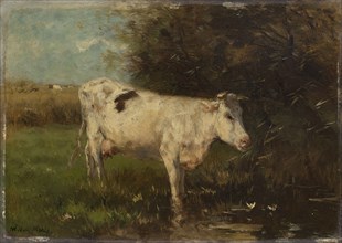 White Cow, Willem Maris, c. 1880 - c. 1910