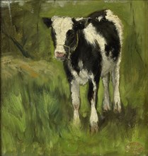 Calf , black and white spotted, Geo Poggenbeek, c. 1873 - c. 1903