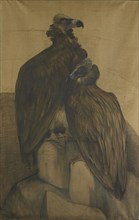 Two vultures, Theo van Hoytema, 1885 - 1917