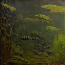 Pike and bass in an aquarium, Gerrit Willem Dijsselhof, 1910 - 1920