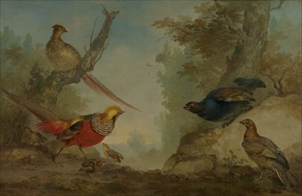 Pheasants, Aert Schouman, 1730 - 1760