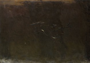 Fish in an aquarium, Gerrit Willem Dijsselhof, 1890 - 1924