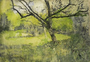 Orchard in Eemnes, The Netherlands, Richard Roland Holst, 1888 - 1895