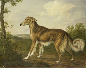 Siberian Greyhound, Jan Dasveldt, c. 1825
