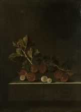A Sprig of Gooseberries on a Stone Plinth, Adriaen Coorte, 1699