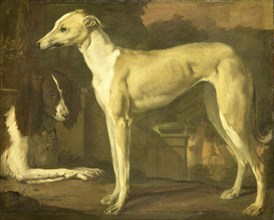Portrait of a Greyhound and Spaniel, Jan Weenix, 1665 - 1680