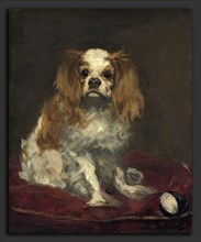 Edouard Manet (French, 1832 - 1883), A King Charles Spaniel, c. 1866, oil on linen
