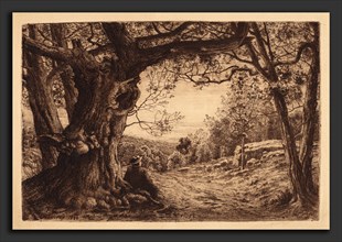 Henry Farrer, On The Hillside, American, 1843 - 1903, 1880, etching
