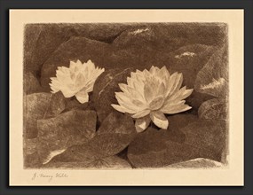 John Henry Hill, Waterlilies, American, 1839 - 1922, c. 1870, etching